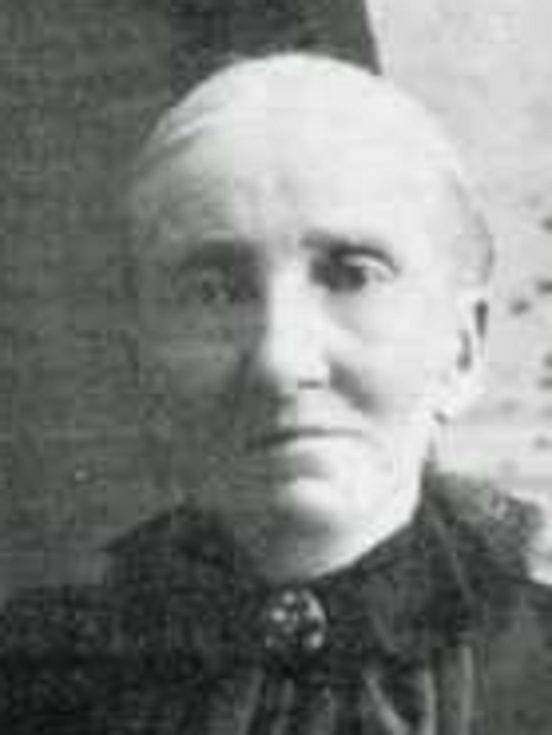 Metta Marie Nelson (1835 - 1911) Profile